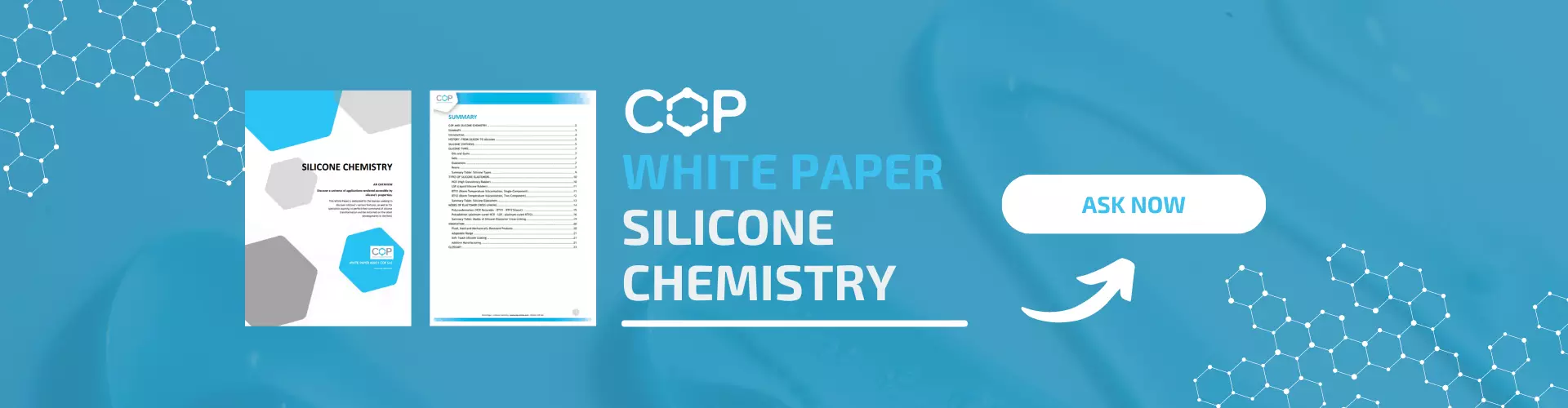 White paper  Silicone Chemistry